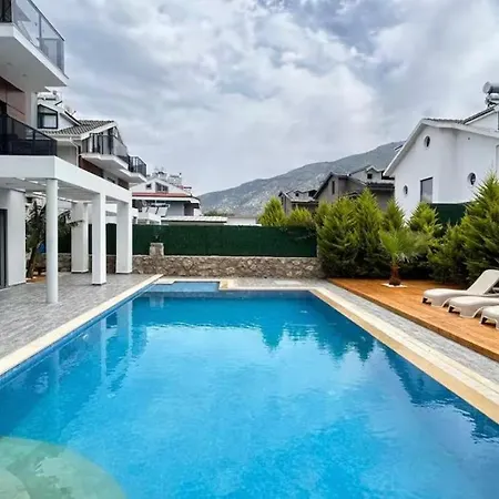 Hisar Vila *